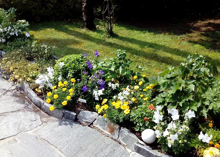 Casa Thuja Daire Ascona