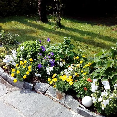 Casa Thuja Apartmán Ascona