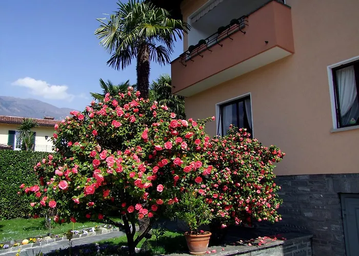 Casa Thuja 아파트